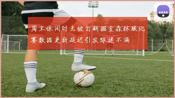 周末休闲时光被打断掘金森林狼比赛数据更新延迟引发球迷不满